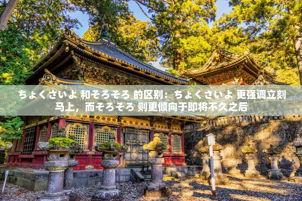 ちょくさいよ 和そろそろ 的区别：ちょくさいよ 更强调立刻马上，而そろそろ 则更倾向于即将不久之后