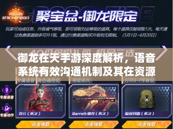 御龙在天手游深度解析，语音系统有效沟通机制及其在资源管理中的关键作用