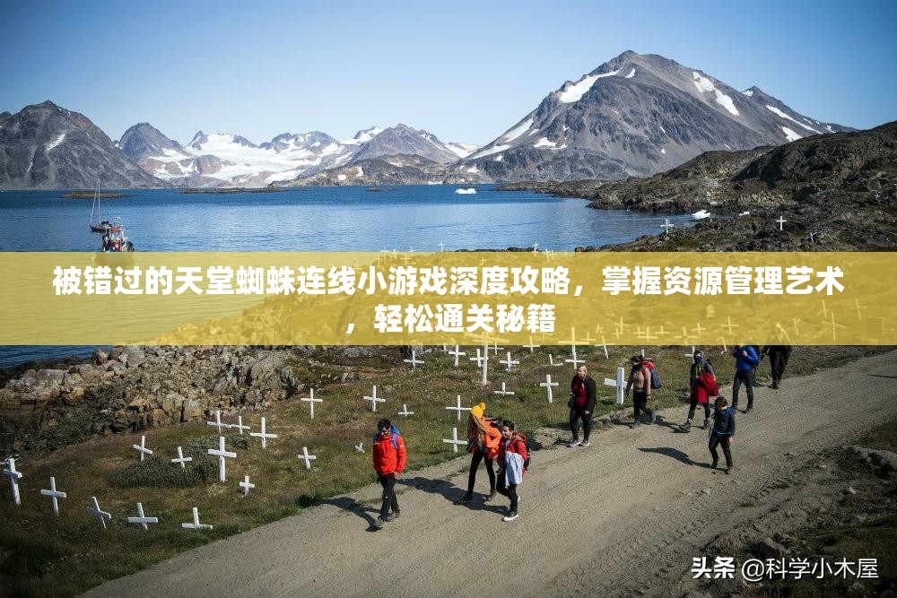 被错过的天堂蜘蛛连线小游戏深度攻略，掌握资源管理艺术，轻松通关秘籍