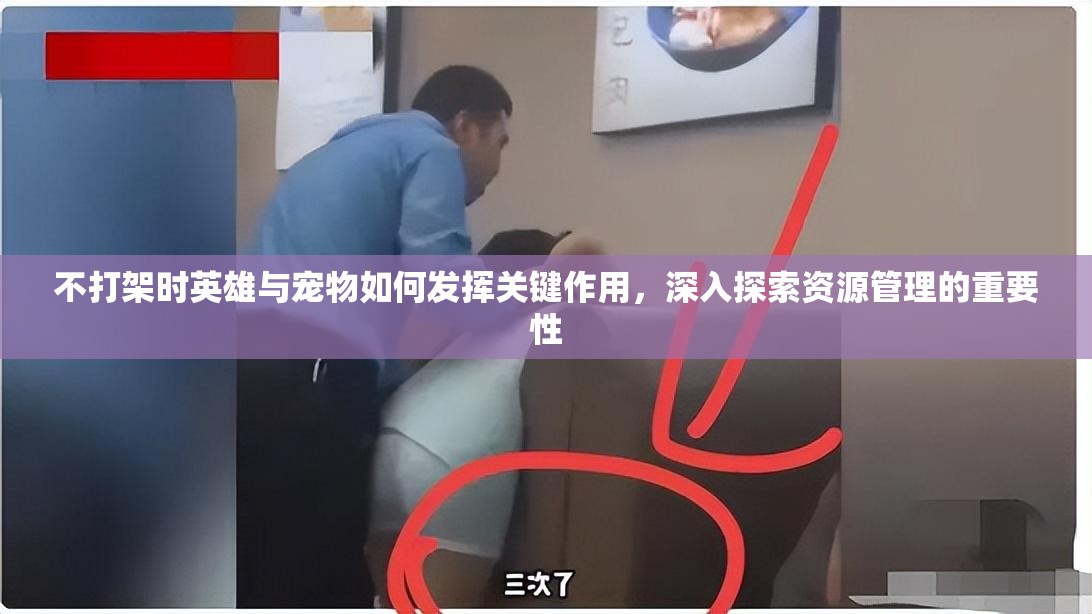 不打架时英雄与宠物如何发挥关键作用，深入探索资源管理的重要性