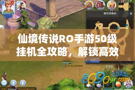 仙境传说RO手游50级挂机全攻略，解锁高效升级新地图，助你快速进阶