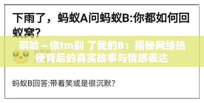 啊哈～你tm别 了我的B：揭秘网络热梗背后的真实故事与情感表达