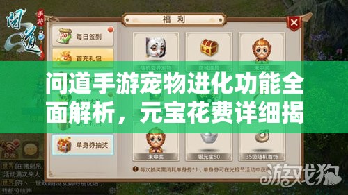 问道手游宠物进化功能全面解析，元宝花费详细揭秘与攻略