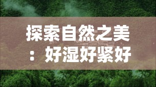 探索自然之美：好湿好紧好多水的生态奇观与旅游攻略