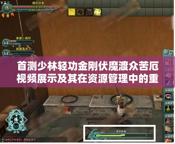 首测少林轻功金刚伏魔渡众苦厄视频展示及其在资源管理中的重要性及高效策略探讨