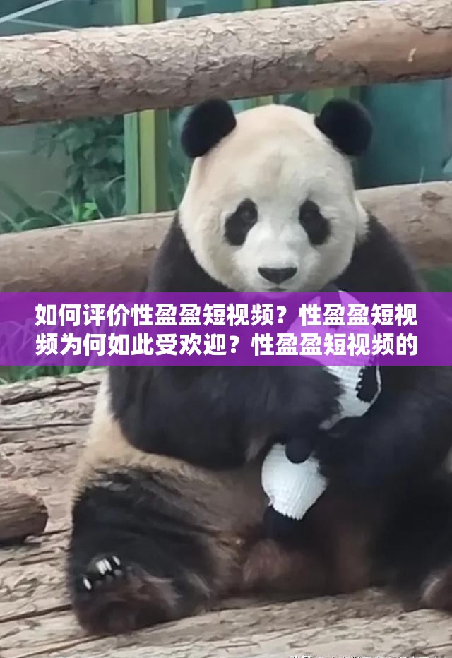如何评价性盈盈短视频？性盈盈短视频为何如此受欢迎？性盈盈短视频的成功之处在哪里？