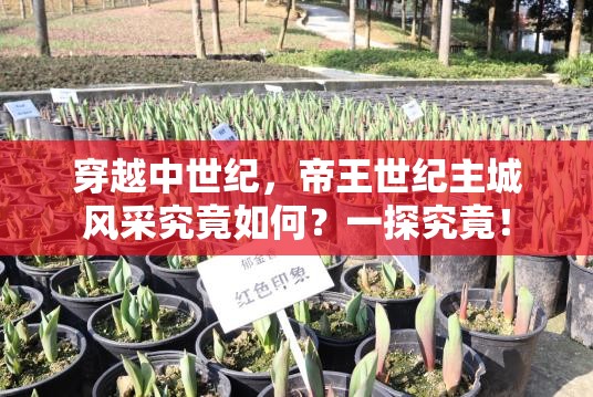 穿越中世纪，帝王世纪主城风采究竟如何？一探究竟！