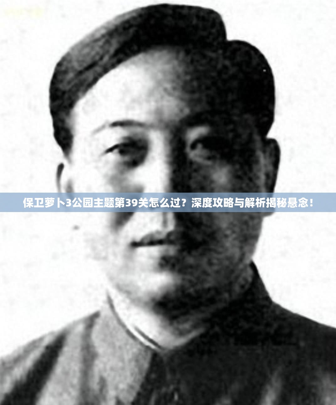 保卫萝卜3公园主题第39关怎么过？深度攻略与解析揭秘悬念！