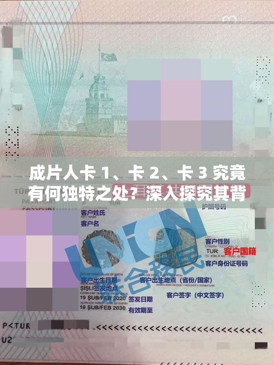 成片人卡 1、卡 2、卡 3 究竟有何独特之处？深入探究其背后的秘密