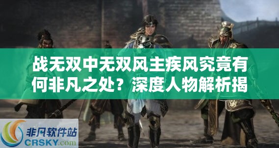 战无双中无双风主疾风究竟有何非凡之处？深度人物解析揭秘！