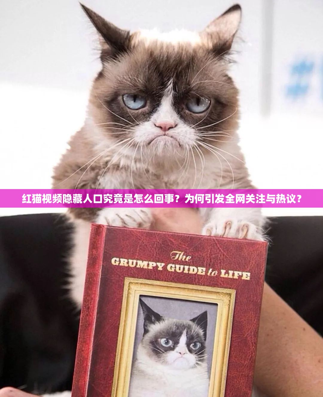 红猫视频隐藏人口究竟是怎么回事？为何引发全网关注与热议？