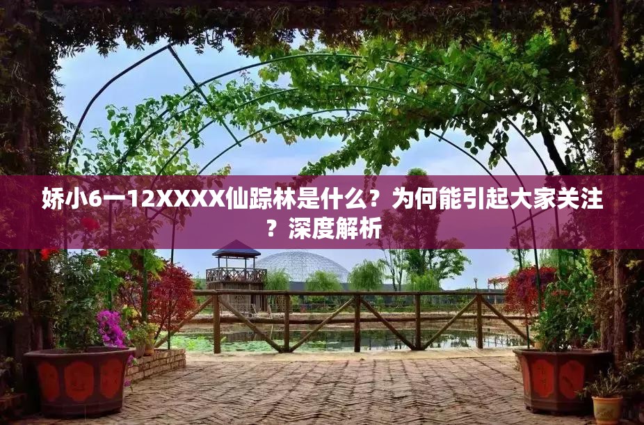 娇小6一12XXXX仙踪林是什么？为何能引起大家关注？深度解析
