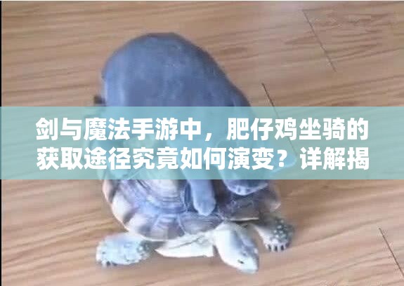 剑与魔法手游中，肥仔鸡坐骑的获取途径究竟如何演变？详解揭秘！