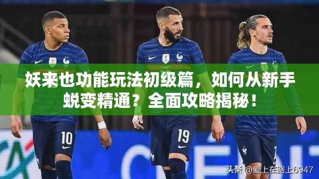 妖来也功能玩法初级篇，如何从新手蜕变精通？全面攻略揭秘！