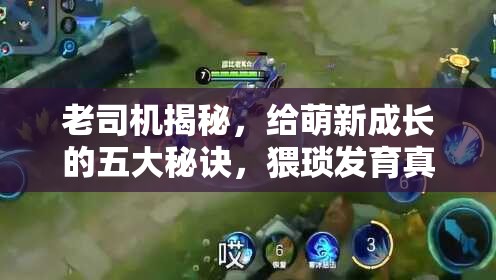 老司机揭秘，给萌新成长的五大秘诀，猥琐发育真的能避免翻车吗？