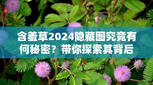 含羞草2024隐藏图究竟有何秘密？带你探索其背后不为人知的精彩