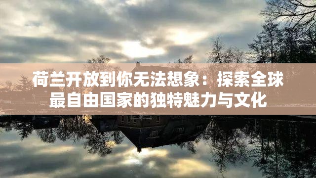 荷兰开放到你无法想象：探索全球最自由国家的独特魅力与文化