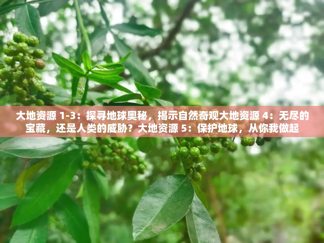 大地资源 1-3：探寻地球奥秘，揭示自然奇观大地资源 4：无尽的宝藏，还是人类的威胁？大地资源 5：保护地球，从你我做起