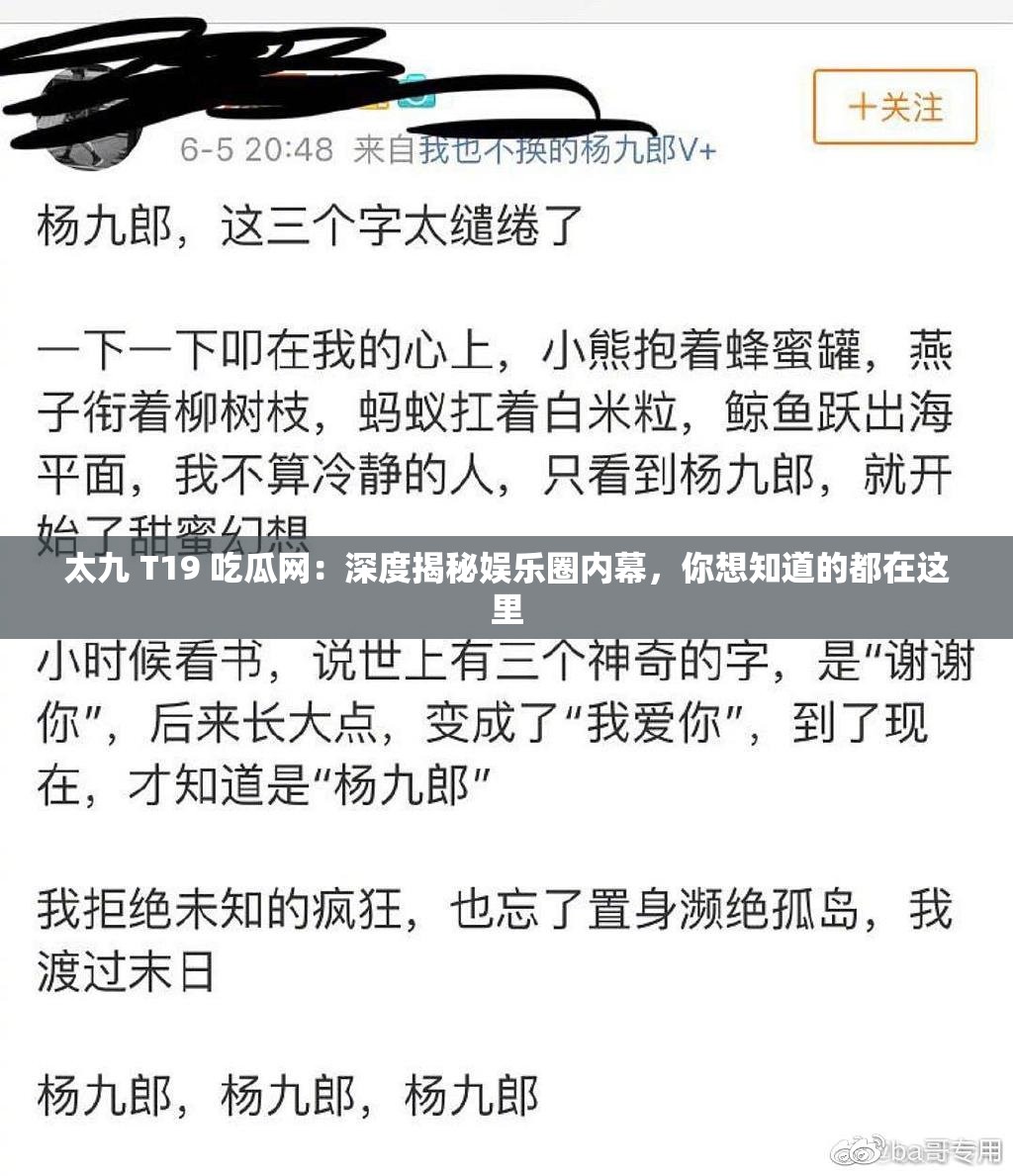 太九 T19 吃瓜网：深度揭秘娱乐圈内幕，你想知道的都在这里