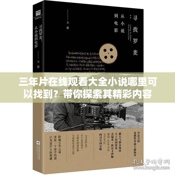 三年片在线观看大全小说哪里可以找到？带你探索其精彩内容
