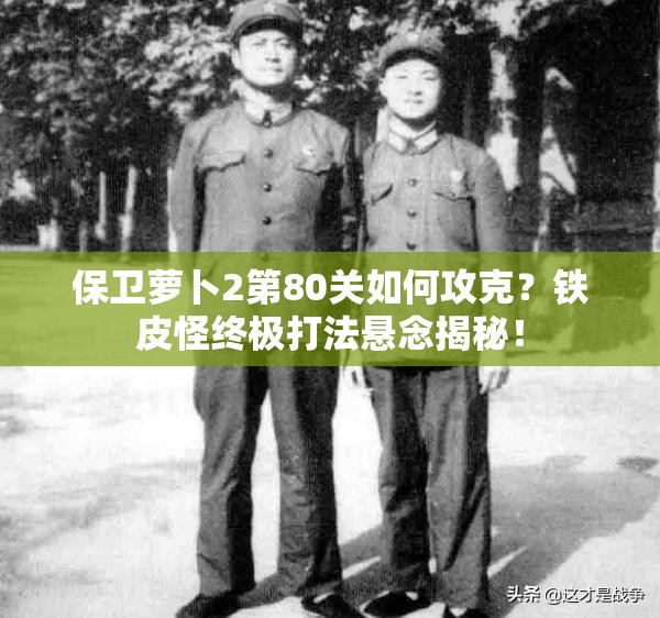 保卫萝卜2第80关如何攻克？铁皮怪终极打法悬念揭秘！