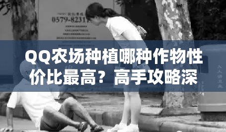 QQ农场种植哪种作物性价比最高？高手攻略深度解析揭秘！