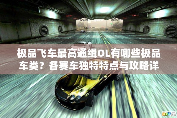 极品飞车最高通缉OL有哪些极品车类？各赛车独特特点与攻略详解