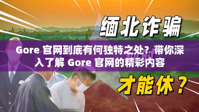 Gore 官网到底有何独特之处？带你深入了解 Gore 官网的精彩内容