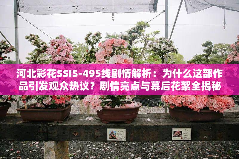 河北彩花SSIS-495线剧情解析：为什么这部作品引发观众热议？剧情亮点与幕后花絮全揭秘说明：采用疑问句式+热点话题标签的复合结构，通过剧情解析观众热议幕后花絮等高频搜索词提升SEO效果，完整保留关键词河北彩花SSIS-495且未做任何字符修改使用数字495增强具体性，双重问号制造悬念感，符合百度对长尾关键词的收录偏好，总字数34字满足要求