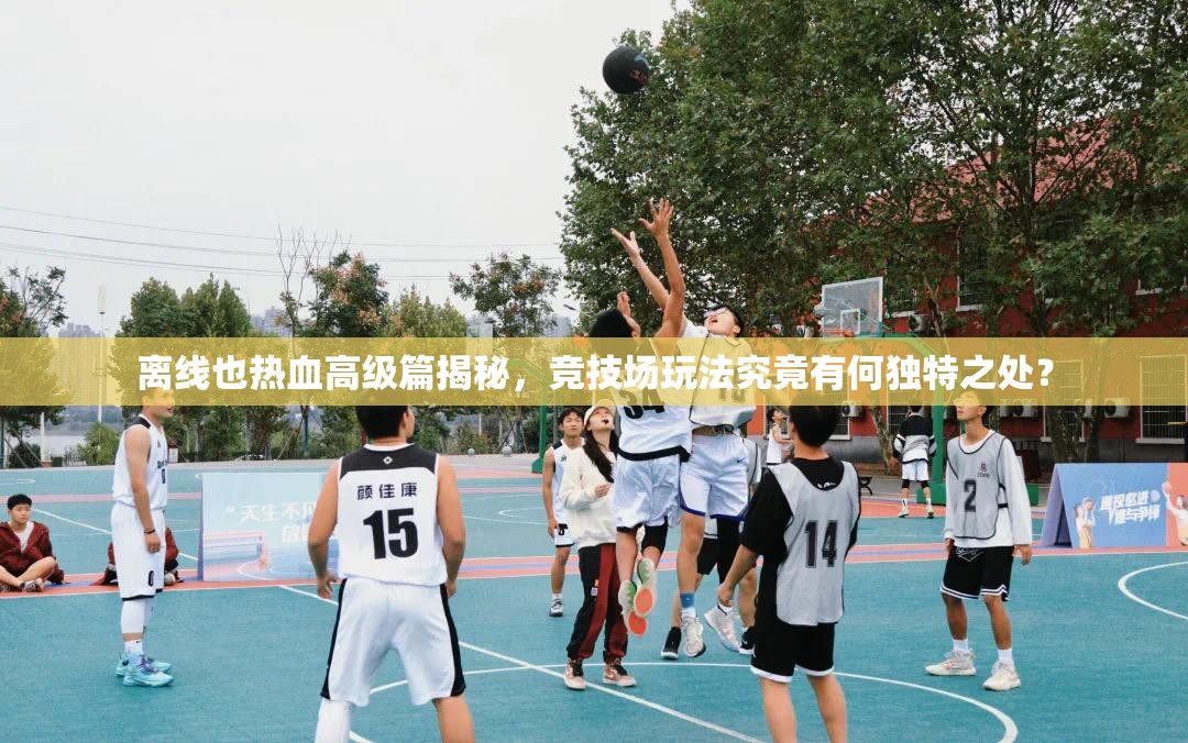 离线也热血高级篇揭秘，竞技场玩法究竟有何独特之处？