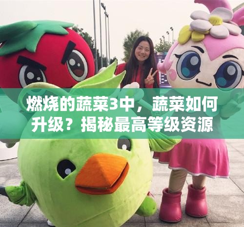 燃烧的蔬菜3中，蔬菜如何升级？揭秘最高等级资源管理的终极悬念！