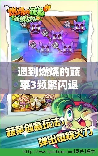 遇到燃烧的蔬菜3频繁闪退怎么办？全面修复指南帮你解决难题！