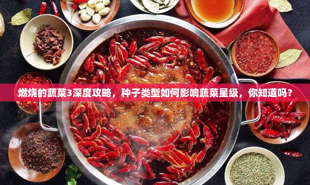 燃烧的蔬菜3深度攻略，种子类型如何影响蔬菜星级，你知道吗？