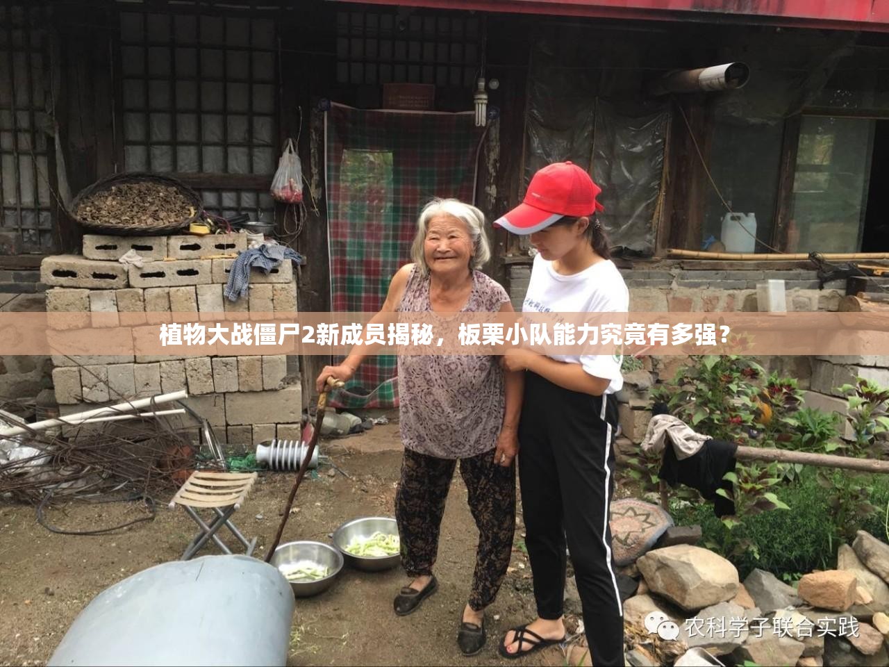 植物大战僵尸2新成员揭秘，板栗小队能力究竟有多强？