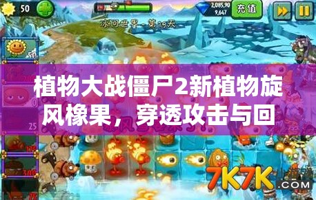 植物大战僵尸2新植物旋风橡果，穿透攻击与回旋技能究竟有多强？
