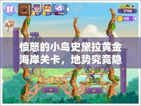 愤怒的小鸟史黛拉黄金海岸关卡，地势究竟隐藏着哪些通关悬念？
