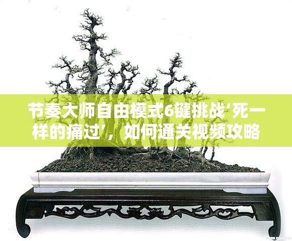 节奏大师自由模式6键挑战‘死一样的痛过’，如何通关视频攻略？