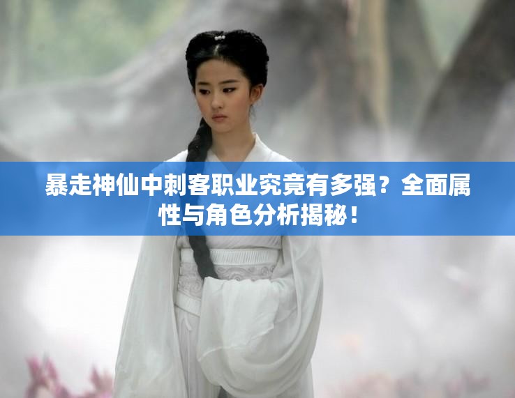 暴走神仙中刺客职业究竟有多强？全面属性与角色分析揭秘！