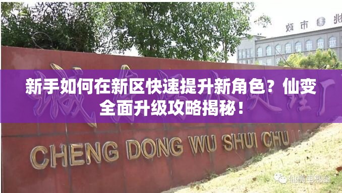 新手如何在新区快速提升新角色？仙变全面升级攻略揭秘！