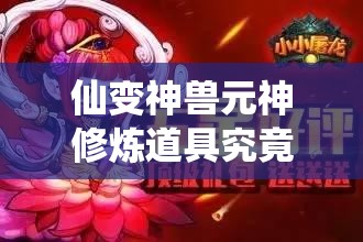 仙变神兽元神修炼道具究竟有哪些？揭秘高效资源管理的艺术