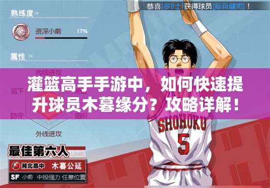 灌篮高手手游中，如何快速提升球员木暮缘分？攻略详解！