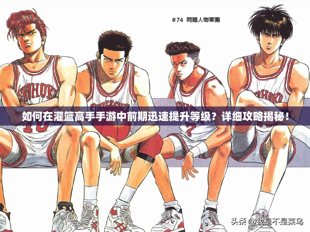 如何在灌篮高手手游中前期迅速提升等级？详细攻略揭秘！