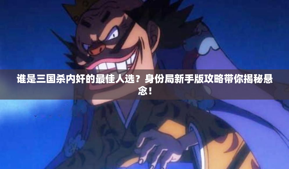 谁是三国杀内奸的最佳人选？身份局新手版攻略带你揭秘悬念！