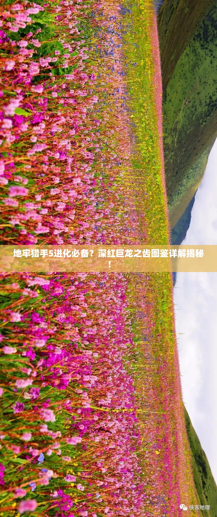 地牢猎手5进化必备？深红巨龙之齿图鉴详解揭秘！