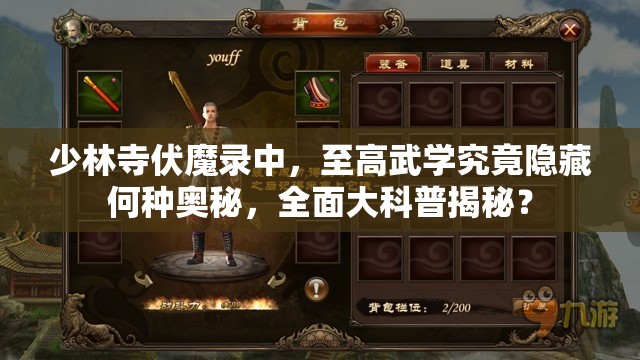 少林寺伏魔录中，至高武学究竟隐藏何种奥秘，全面大科普揭秘？