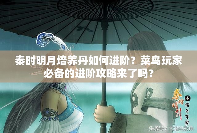 秦时明月培养丹如何进阶？菜鸟玩家必备的进阶攻略来了吗？