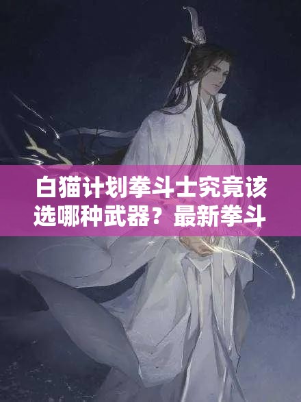 白猫计划拳斗士究竟该选哪种武器？最新拳斗士武器排行揭秘
