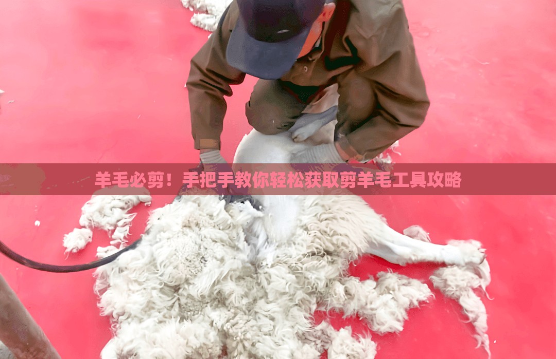 羊毛必剪！手把手教你轻松获取剪羊毛工具攻略