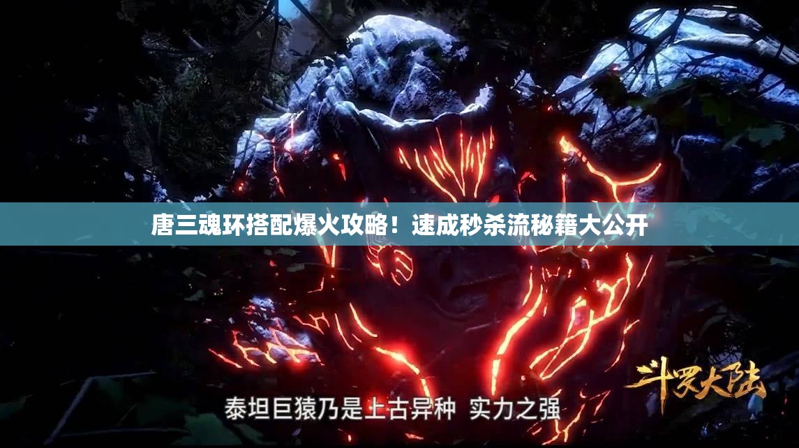 唐三魂环搭配爆火攻略！速成秒杀流秘籍大公开